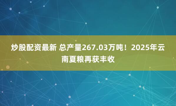 炒股配资最新 总产量267.03万吨！2025年云南夏粮再获丰收
